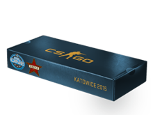 ESL One Katowice 2015 Cache Souvenir Package image