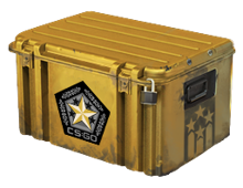 Gamma 2 Case image