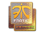 Fnatic (Holo) | DreamHack 2014 image
