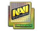 Natus Vincere (Holo) | DreamHack 2014 image