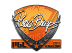 pashaBiceps | Krakow 2017 image