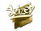 seized (Gold) | Boston 2018 image
