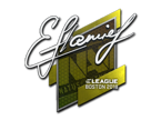 flamie | Boston 2018 image