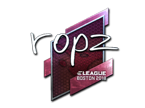 ropz (Foil) | Boston 2018 image