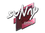suNny | Boston 2018 image
