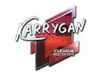karrigan (Foil) | Boston 2018 image