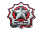 Distinguished Master Guardian image
