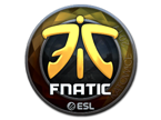 Fnatic (Foil) | Katowice 2019 image