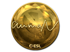 aumaN (Gold) | Katowice 2019 image