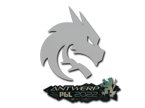 Team Spirit | Antwerp 2022 image