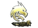 Team Spirit (Gold) | Antwerp 2022 image