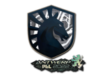 Team Liquid | Antwerp 2022 image