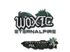 woxic | Antwerp 2022 image