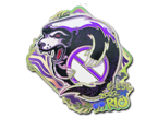 Outsiders (Holo) | Rio 2022 image