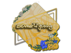 sdy | Rio 2022 image