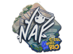 NAF | Rio 2022 image