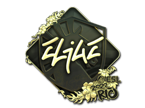 EliGE (Gold) | Rio 2022 image