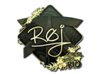 roeJ (Gold) | Rio 2022 image