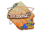 nicoodoz | Rio 2022 image
