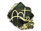 arT (Gold) | Rio 2022 image