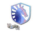 Team Liquid (Holo) | Paris 2023 image