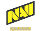 Natus Vincere | Copenhagen 2024 image