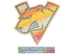 Virtus.pro (Holo) | Copenhagen 2024 image