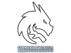 Team Spirit | Copenhagen 2024 image