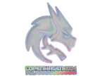 Team Spirit (Holo) | Copenhagen 2024 image