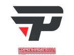 paiN Gaming | Copenhagen 2024 image