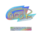 acoR (Holo) | Copenhagen 2024 image