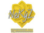 NEKiZ | Copenhagen 2024 image