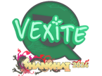vexite | Shanghai 2024 image