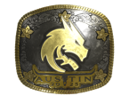 Team Spirit (Gold) | Austin 2025 image